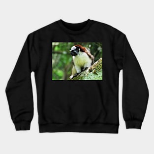 White Chested Monkey Perching in Tree Crewneck Sweatshirt